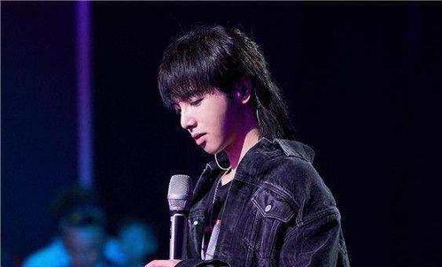 吃瓜娱乐华晨宇是谁